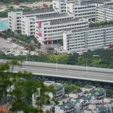南山南，看妈湾