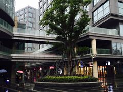 -恒生万鹂广场(唐镇店)