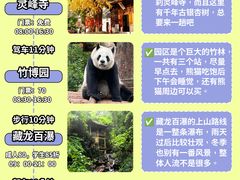 -阿露佳·舌尖上的安吉菜