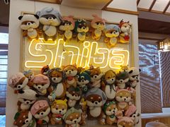 零售区-豆柴町-柴犬主题狗咖(红鼎国际C座店)