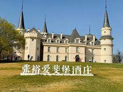-北京张裕爱斐堡酒庄