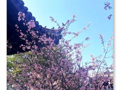 -常熟方塔园