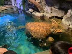 -多彩贵州城极地海洋世界