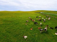-莫日格勒旅游景区
