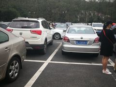 -上海佘山国家森林公园东门地面停车场