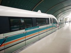 -龙阳路磁悬浮列车总站-停车场