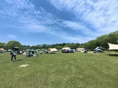 -上海滨江森林公园