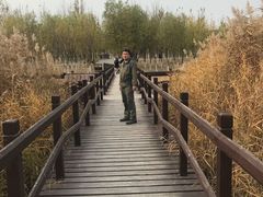 -西青郊野公园