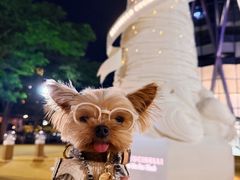 -深圳湾万象城(南山店)