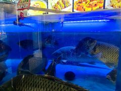 -老妈厨房团圆饺子东北菜(北环路店)