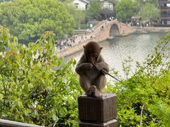-苏州上方山国家森林公园