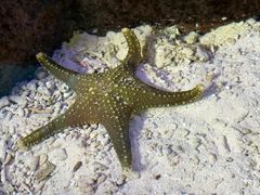 -横店影视城梦幻谷园区