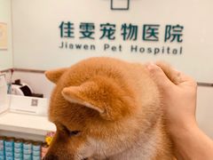 -佳雯宠物医院