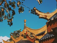 -金砂公园