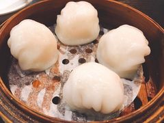 -添运来(茶园奥园广场店)