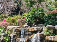-东莞植物园