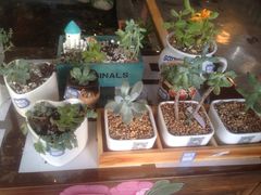 -山有花啡餐厅(常营总店)