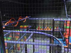 -Tenker Club弹刻极限主题公园 · 蹦床 · 团建 · 生日派对(大关店)