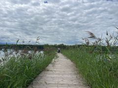 -野鸭湖国家湿地公园