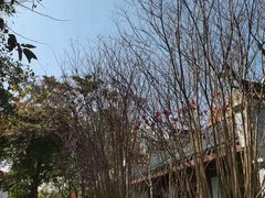 -惠州西湖丰渚园