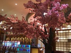 -大江户·温泉洗浴(浑南店)