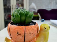 -奈雪的茶(石厦时代广场店)