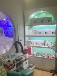 -雏芽婴幼儿游泳·小美医生小儿推拿(西村店)