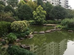 -新湖明珠城