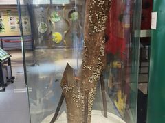 -上海昆虫博物馆