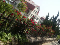 android_upload_pic-八大关景区