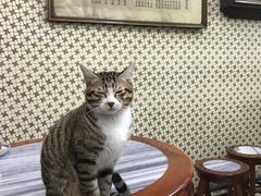 -公利真料竹蔗水(中环店)