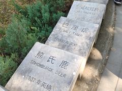 -北京麋鹿生态实验中心