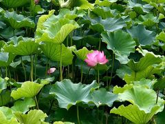 -涞滩古镇