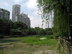 -温江公园