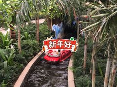 -南宫五洲植物乐园