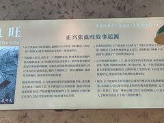 -正兴张血旺