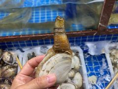 -海香园饭店