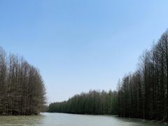 -上海海湾国家森林公园