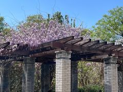 -永定河休闲森林公园