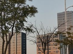 -映月湖中央公园