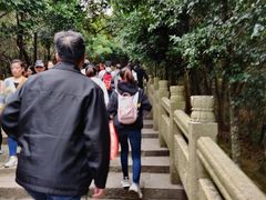 -珞珈山-售票处