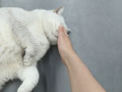 -拳盛时代拳击俱乐部(北京路店)