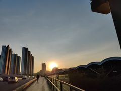 -锦粤宫·精致粤菜(深圳北站店)
