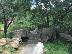 -大岭沟猕猴桃谷风景区