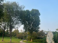 -铁山坪森林公园