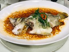 清蒸桂鱼-東海海鲜酒家(中信广场店)