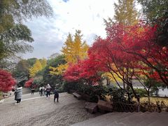 -岳麓山风景名胜区
