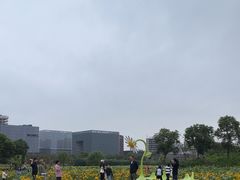 -春花秋色城市公园