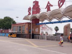 -碧海金沙