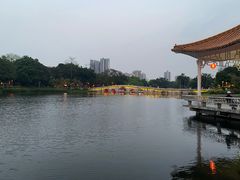 -荔湾湖公园